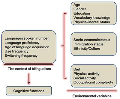 Lifelong Bilingualism Functions as an Alternative Intervention for Cognitive Reserve Against Alzheimer's Disease